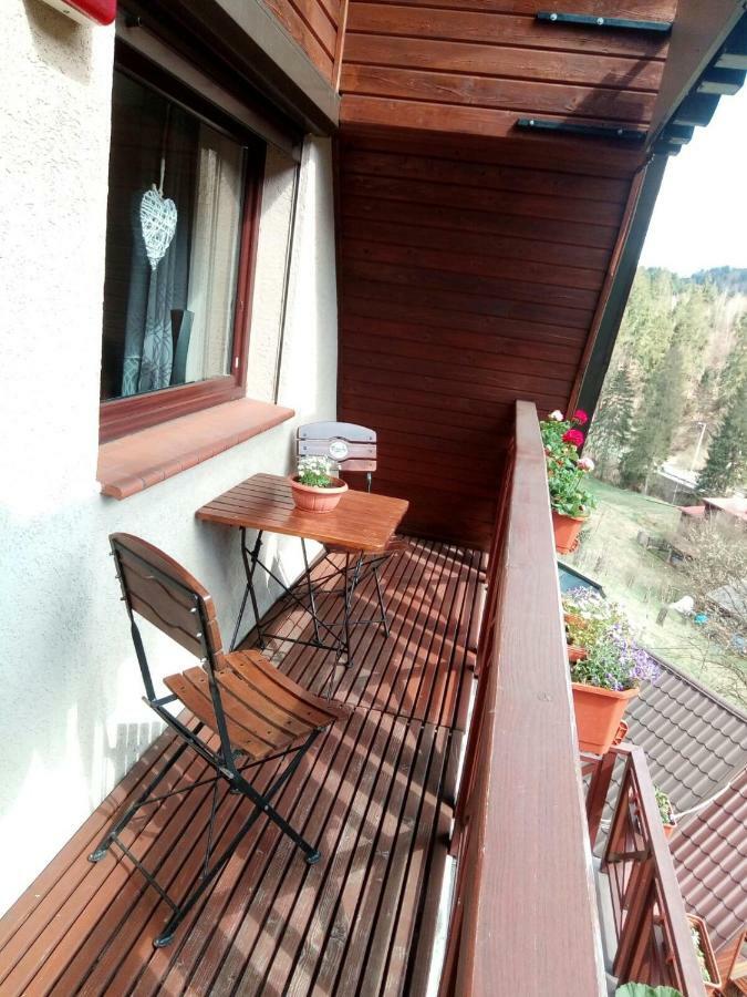 Lesny Dwor Hotel Wisla Luaran gambar